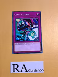 Cynet Cascade Common MP22-EN249 1st Edition Tin of the Pharaohs Gods 2022 MP22 Yu-Gi-Oh