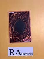 Cynet Cascade Common MP22-EN249 1st Edition Tin of the Pharaohs Gods 2022 MP22 Yu-Gi-Oh