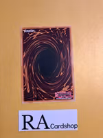 Fabled Andwraith Common MP22-EN024 1st Edition Tin of the Pharaohs Gods 2022 MP22 Yu-Gi-Oh