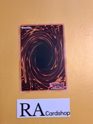 Fabled Andwraith Common MP22-EN024 1st Edition Tin of the Pharaohs Gods 2022 MP22 Yu-Gi-Oh