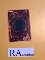 Sunavalon Melias Common MP22-EN115 1st Edition Tin of the Pharaohs Gods 2022 MP22 Yu-Gi-Oh