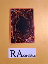 Cybersal Cyclone Common MP19-EN033 1st Edition Gold Sarcophagus Tin Mega Pack 2019 MP19 Yu-Gi-Oh