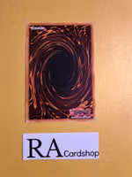 Restoration of the Monarchs Common MP19-EN040 1st Edition Gold Sarcophagus Tin Mega Pack 2019 MP19 Yu-Gi-Oh