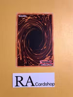 Vendread Nightmare Common MP19-EN058 1st Edition Gold Sarcophagus Tin Mega Pack 2019 MP19 Yu-Gi-Oh