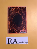 Mythical Institution Common MP19-EN120 1st Edition Gold Sarcophagus Tin Mega Pack 2019 MP19 Yu-Gi-Oh