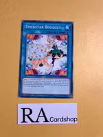Trickstar Bouquet Common MP19-EN035 1st Edition Gold Sarcophagus Tin Mega Pack 2019 MP19 Yu-Gi-Oh