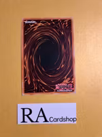 Parallel Panzer Common MP19-EN203 1st Edition Gold Sarcophagus Tin Mega Pack 2019 MP19 Yu-Gi-Oh