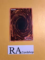 Parallel Panzer Common MP19-EN203 1st Edition Gold Sarcophagus Tin Mega Pack 2019 MP19 Yu-Gi-Oh