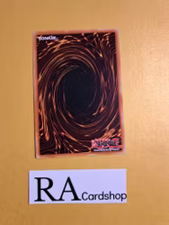 Zero Extra Link Common MP19-EN114 1st Edition Gold Sarcophagus Tin Mega Pack 2019 MP19 Yu-Gi-Oh