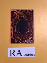 Gouki Face Turn Common MP19-EN036 1st Edition Gold Sarcophagus Tin Mega Pack 2019 MP19 Yu-Gi-Oh