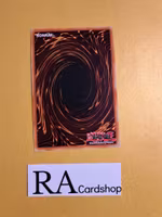 Vampires Domain Common MP19-EN241 1st Edition Gold Sarcophagus Tin Mega Pack 2019 MP19 Yu-Gi-Oh