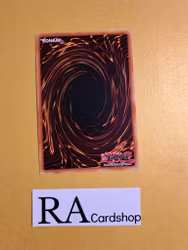 Vampires Domain Common MP19-EN241 1st Edition Gold Sarcophagus Tin Mega Pack 2019 MP19 Yu-Gi-Oh