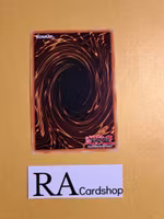 Predaplast Common MP19-EN231 1st Edition Gold Sarcophagus Tin Mega Pack 2019 MP19 Yu-Gi-Oh