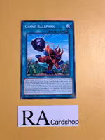 Giant Ballpark Common MP19-EN200 1st Edition Gold Sarcophagus Tin Mega Pack 2019 MP19 Yu-Gi-Oh
