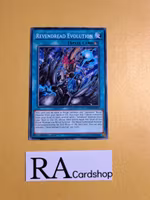 Revendread Evolution Common MP19-EN057 1st Edition Gold Sarcophagus Tin Mega Pack 2019 MP19 Yu-Gi-Oh