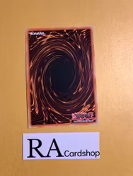 World Legacys Corruption Common MP19-EN037 1st Edition Gold Sarcophagus Tin Mega Pack 2019 MP19 Yu-Gi-Oh