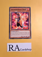 Salamangreat Meer Common MP19-EN153 1st Edition Gold Sarcophagus Tin Mega Pack 2019 MP19 Yu-Gi-Oh