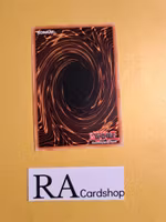 Edge Imp Cotton Eater Common MP19-EN227 1st Edition Gold Sarcophagus Tin Mega Pack 2019 MP19 Yu-Gi-Oh