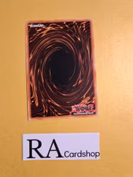 Edge Imp Cotton Eater Common MP19-EN227 1st Edition Gold Sarcophagus Tin Mega Pack 2019 MP19 Yu-Gi-Oh