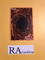 Dinowrestler Systegosaur Common MP19-EN159 1st Edition Gold Sarcophagus Tin Mega Pack 2019 MP19 Yu-Gi-Oh