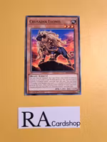 Crusadia Leonis Common MP19-EN079 1st Edition Gold Sarcophagus Tin Mega Pack 2019 MP19 Yu-Gi-Oh