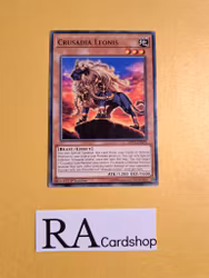 Crusadia Leonis Common MP19-EN079 1st Edition Gold Sarcophagus Tin Mega Pack 2019 MP19 Yu-Gi-Oh