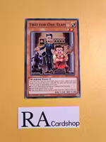 Two-for-One Team Common MP19-EN178 1st Edition Gold Sarcophagus Tin Mega Pack 2019 MP19 Yu-Gi-Oh