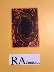 Token Collector Common MP19-EN177 1st Edition Gold Sarcophagus Tin Mega Pack 2019 MP19 Yu-Gi-Oh