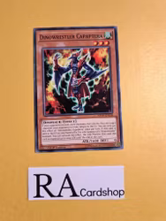 Dinowrestler Capaptera Common MP19-EN158 1st Edition Gold Sarcophagus Tin Mega Pack 2019 MP19 Yu-Gi-Oh