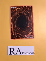 Dinowrestler Capaptera Common MP19-EN158 1st Edition Gold Sarcophagus Tin Mega Pack 2019 MP19 Yu-Gi-Oh