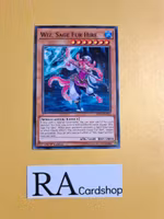 Wiz, Sage Fur Hire Common MP19-EN252 1st Edition Gold Sarcophagus Tin Mega Pack 2019 MP19 Yu-Gi-Oh