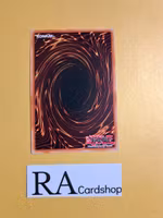 Wiz, Sage Fur Hire Common MP19-EN252 1st Edition Gold Sarcophagus Tin Mega Pack 2019 MP19 Yu-Gi-Oh