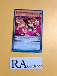 Performapal Gold Fang Common MP19-EN147 1st Edition Gold Sarcophagus Tin Mega Pack 2019 MP19 Yu-Gi-Oh