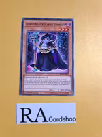 Terrifying Toddler of Torment Common MP19-EN091 1st Edition Gold Sarcophagus Tin Mega Pack 2019 MP19 Yu-Gi-Oh