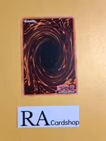 Terrifying Toddler of Torment Common MP19-EN091 1st Edition Gold Sarcophagus Tin Mega Pack 2019 MP19 Yu-Gi-Oh