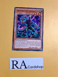 Dinowrestler Capoeiraptor Common MP19-EN157 1st Edition Gold Sarcophagus Tin Mega Pack 2019 MP19 Yu-Gi-Oh
