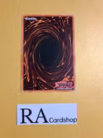 Dinowrestler Capoeiraptor Common MP19-EN157 1st Edition Gold Sarcophagus Tin Mega Pack 2019 MP19 Yu-Gi-Oh