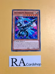 Interrupt Resistor Common MP19-EN149 1st Edition Gold Sarcophagus Tin Mega Pack 2019 MP19 Yu-Gi-Oh