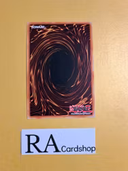 Interrupt Resistor Common MP19-EN149 1st Edition Gold Sarcophagus Tin Mega Pack 2019 MP19 Yu-Gi-Oh