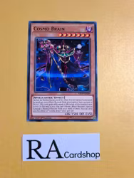 Cosmo Brain Common MP19-EN089 1st Edition Gold Sarcophagus Tin Mega Pack 2019 MP19 Yu-Gi-Oh