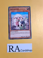 Boycotton Common MP19-EN018 1st Edition Gold Sarcophagus Tin Mega Pack 2019 MP19 Yu-Gi-Oh