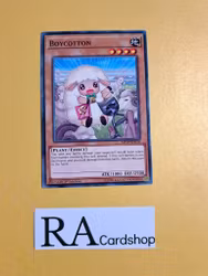 Boycotton Common MP19-EN018 1st Edition Gold Sarcophagus Tin Mega Pack 2019 MP19 Yu-Gi-Oh