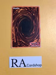 Boycotton Common MP19-EN018 1st Edition Gold Sarcophagus Tin Mega Pack 2019 MP19 Yu-Gi-Oh