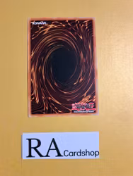 Bearblocker Common MP19-EN175 1st Edition Gold Sarcophagus Tin Mega Pack 2019 MP19 Yu-Gi-Oh