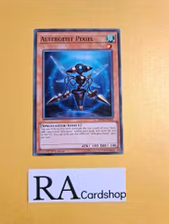 Altergeist Pixiel Common MP19-EN010 1st Edition Gold Sarcophagus Tin Mega Pack 2019 MP19 Yu-Gi-Oh