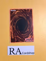 Altergeist Pixiel Common MP19-EN010 1st Edition Gold Sarcophagus Tin Mega Pack 2019 MP19 Yu-Gi-Oh