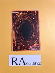 Altergeist Pixiel Common MP19-EN010 1st Edition Gold Sarcophagus Tin Mega Pack 2019 MP19 Yu-Gi-Oh