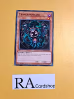 Trancefamiliar Common MP19-EN014 1st Edition Gold Sarcophagus Tin Mega Pack 2019 MP19 Yu-Gi-Oh