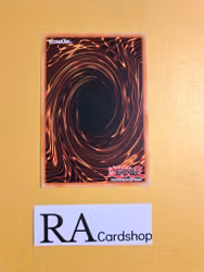 Performapal Lebellman Common MP19-EN146 1st Edition Gold Sarcophagus Tin Mega Pack 2019 MP19 Yu-Gi-Oh