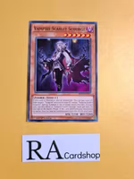 Vampire Scarlet Scourge Common MP19-EN237 1st Edition Gold Sarcophagus Tin Mega Pack 2019 MP19 Yu-Gi-Oh